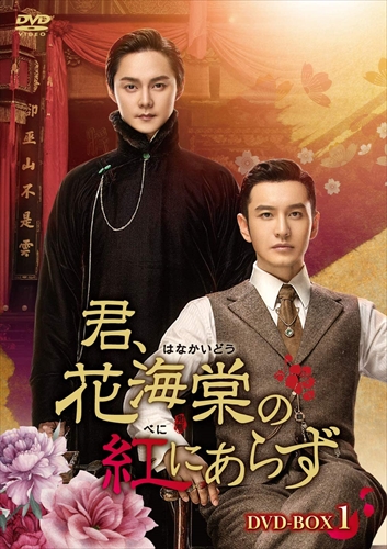 ＜仕様＞ DVD 【DVD仕様】 2020年/全49話/1話-16話/640分/8枚組/片面・一層/カラー/MPEG-2/16:9ビスタ/ドルビーデジタルステレオ/オリジナル中国語/日本語字幕/ ※仕