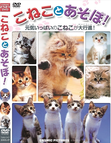 元気いっぱいのこねこが大集合!かわいいこねこが大行進!＜仕様＞DVD 形式: Colorリージョンコード: リージョン2 ディスク枚数: 1販売元: 株式会社 コスミック出版発売日 2015/11/2