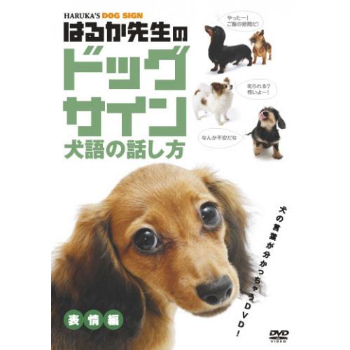 はるか先生のドッグサイン 犬語の話し方 表情編 DVD MX-268S通販セール状況　外国語　翻訳　通訳　通販
